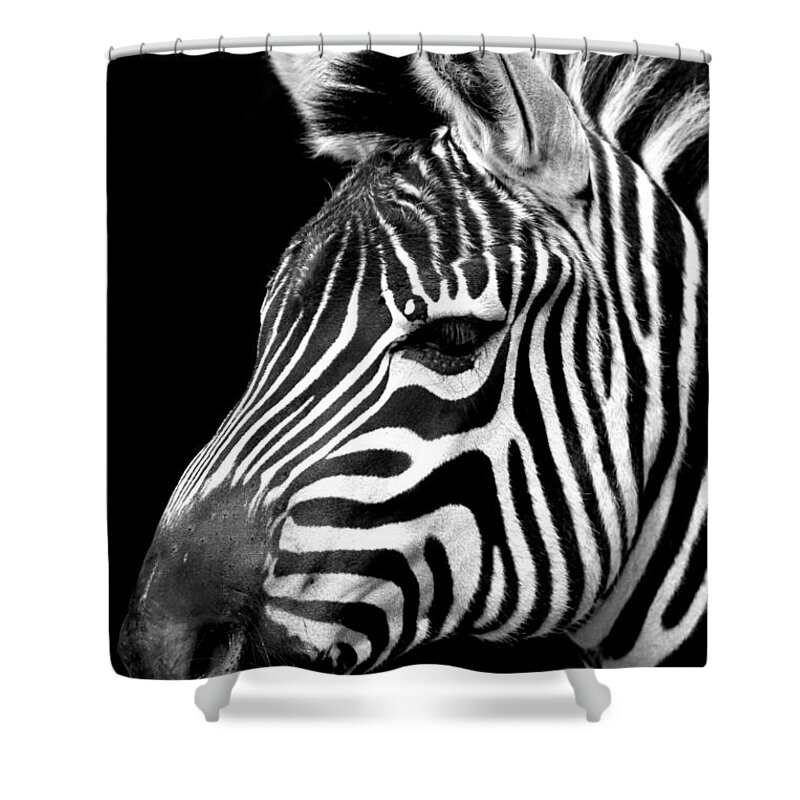 Horse Shower Curtain featuring the photograph Zebra by Gunnar Orn Arnason
