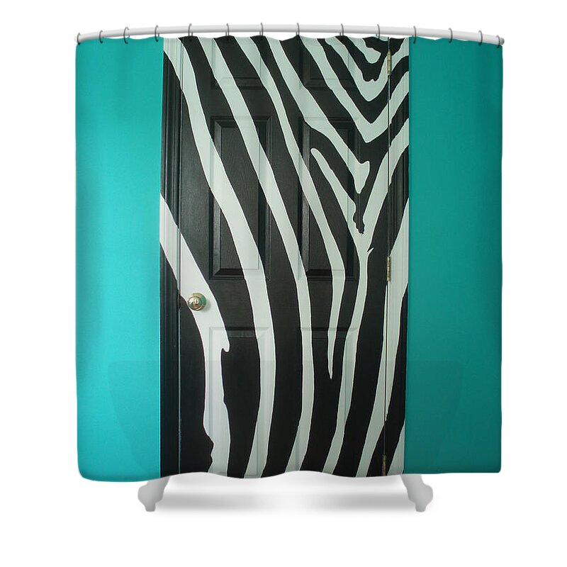 Acrylic Paint On Wood Shower Curtain featuring the painting Zebra Stripe Mural - Door Number 1 by Sean Connolly