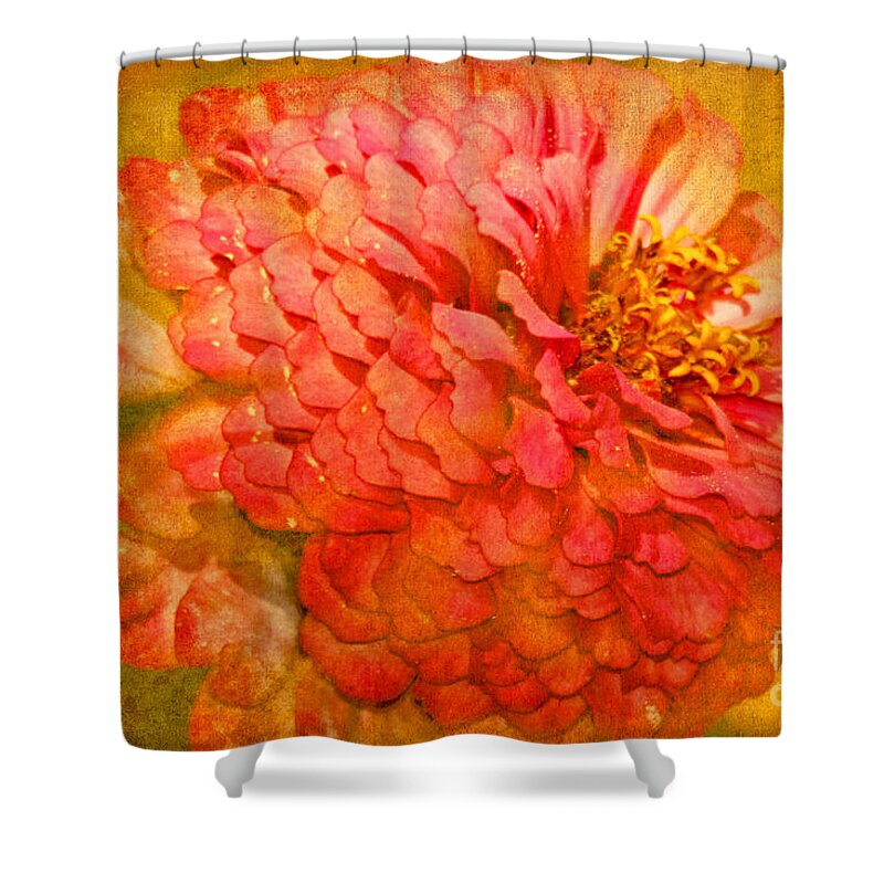 Tranquility Shower Curtain featuring the photograph Zinnia Petals by Carol F Austin