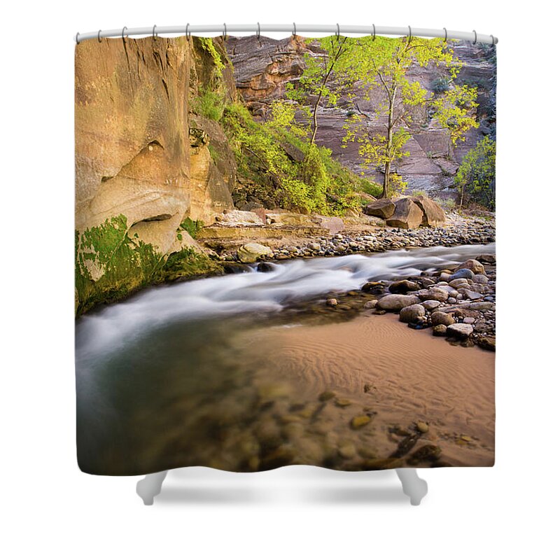 Scenics Shower Curtain featuring the photograph Zion Narrows by Ritu Vincent