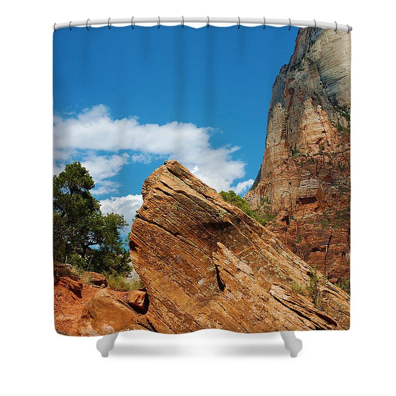 Zion Shower Curtain featuring the photograph Zion National Park 4 by Micah May