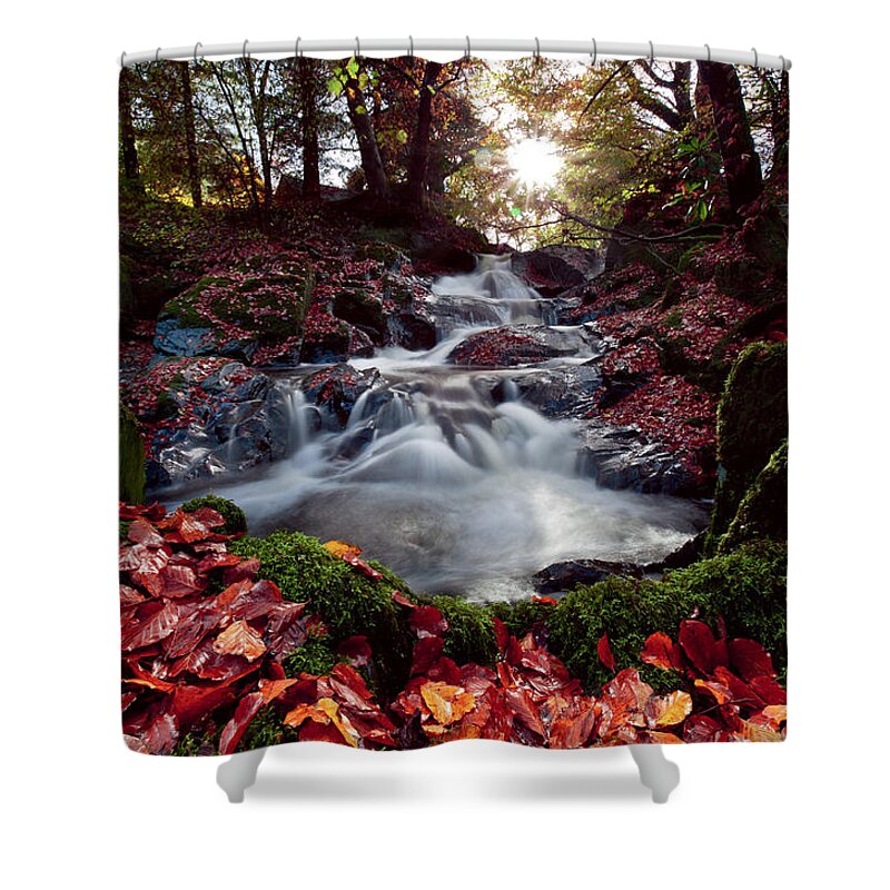 Greeting Card Shower Curtain featuring the photograph Blank Thanksgiving or fall card by B Cash
