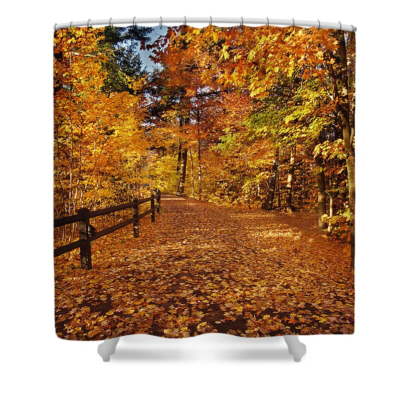 Fall Shower Curtain featuring the photograph Golden Path by Ron Weathers