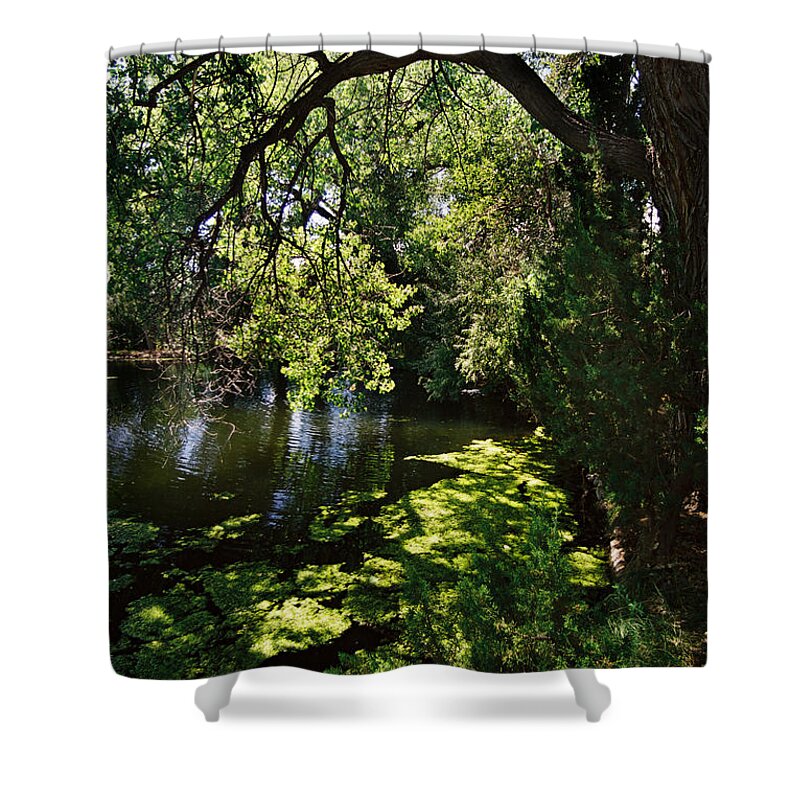 Santa Fe Shower Curtain featuring the photograph Lake With Cottonwoods by Ron Weathers