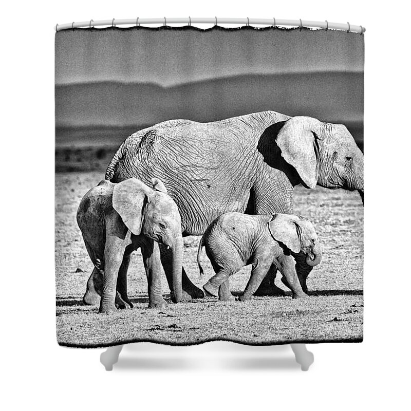 Africa Shower Curtain featuring the photograph African Elephant in the Masai Mara #2 by Perla Copernik