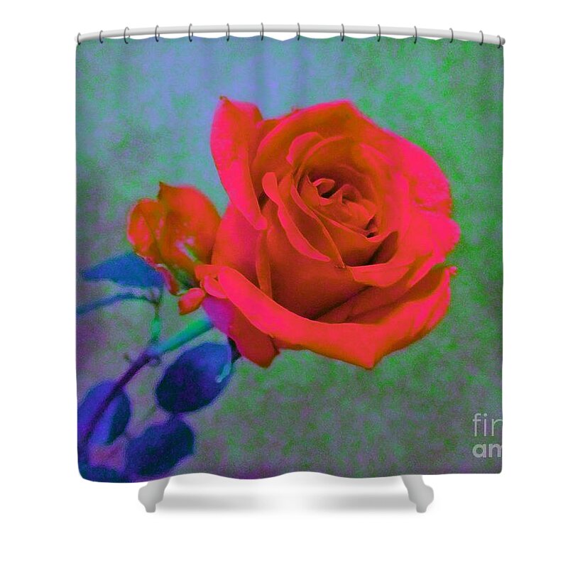 Rose Shower Curtain featuring the photograph American Beauty - Red Rose by Susan Carella