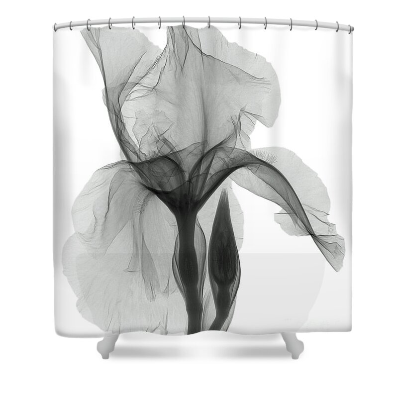 Xray Shower Curtain featuring the photograph An X-ray Of An Iris Flower by Ted Kinsman