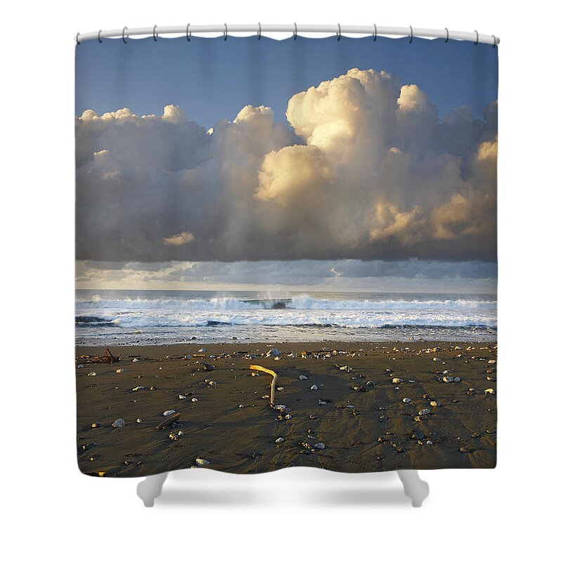 00176965 Shower Curtain featuring the photograph Beach And Waves Corcovado National Park #1 by Tim Fitzharris