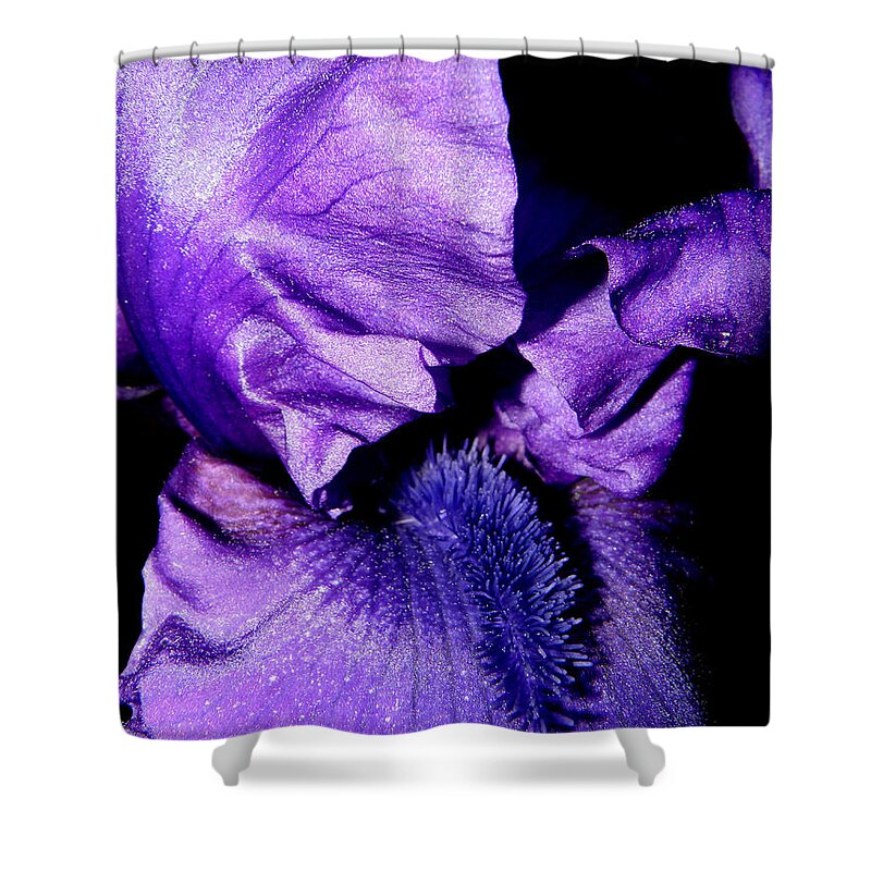 Iris Shower Curtain featuring the photograph Bearded Iris #1 by Kim Galluzzo