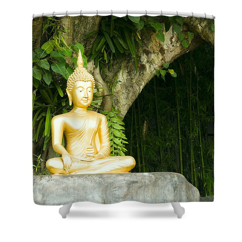 Beautiful Shower Curtain featuring the photograph Buddha statue under green tree in meditative posture #1 by U Schade
