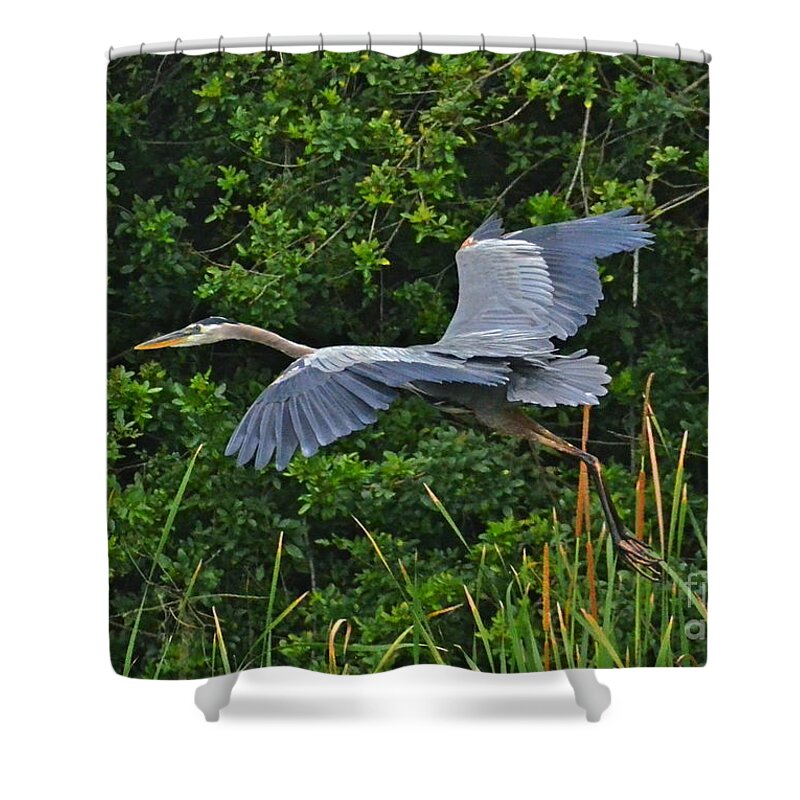 Heron Shower Curtain featuring the photograph Changing Location #1 by Carol Bradley