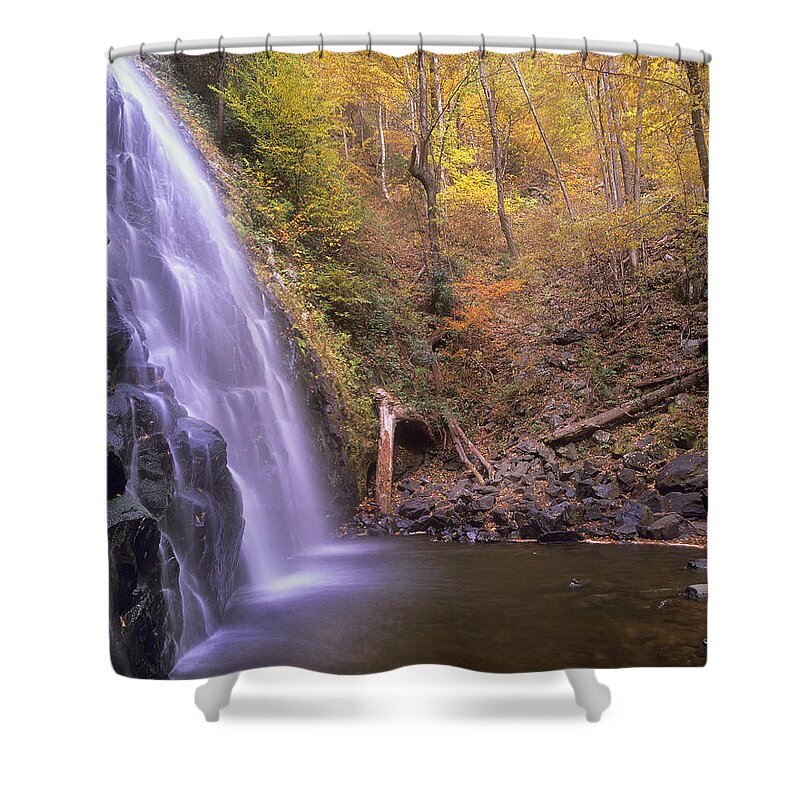 00175742 Shower Curtain featuring the photograph Crabtree Falls Cascading Into Stream #1 by Tim Fitzharris