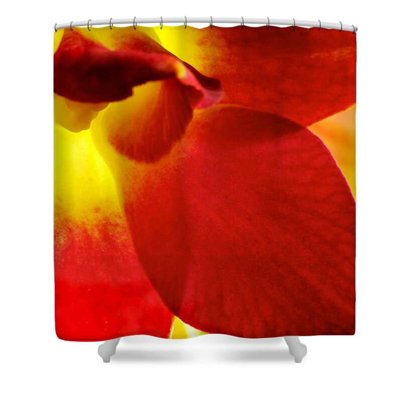 Dendrobium Shower Curtain featuring the photograph Dendribium malone or Hope orchid Flower #1 by Perla Copernik