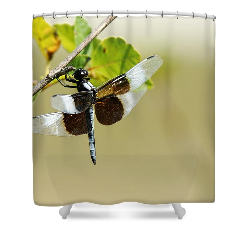 Dragonfly Shower Curtain featuring the photograph Dragonfly #1 by Alan Hutchins