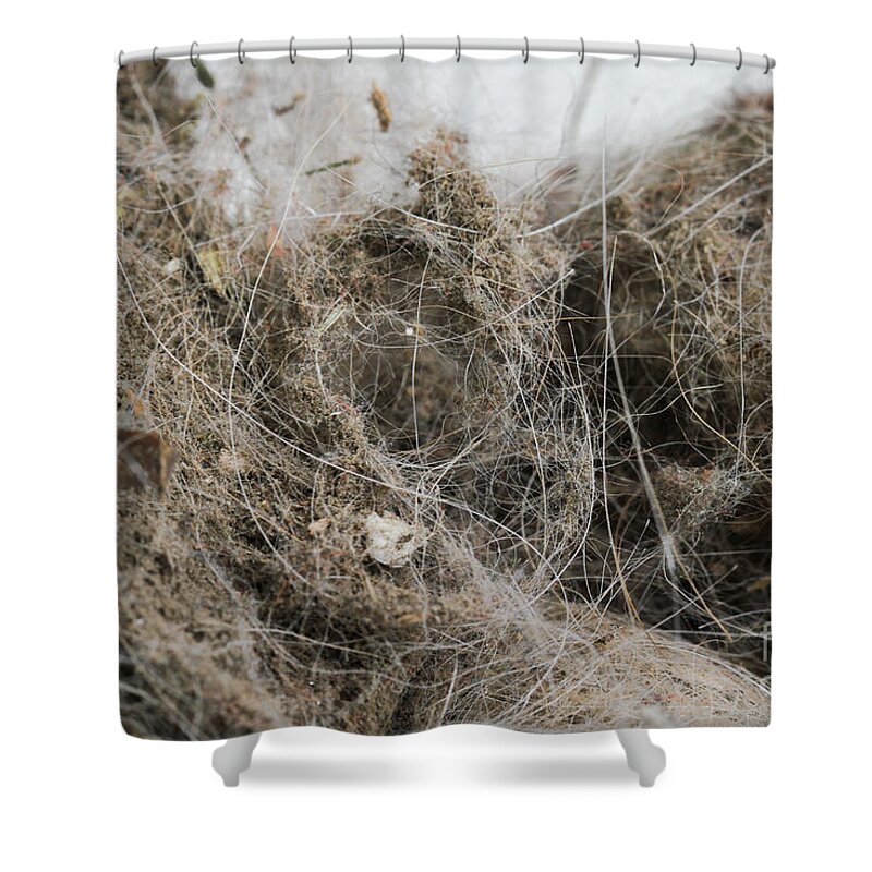 Allergen Shower Curtain featuring the photograph Dust Ball #1 by Photo Researchers, Inc.