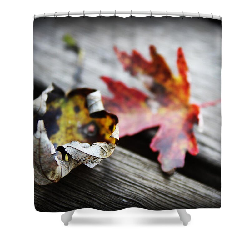 Age Shower Curtain featuring the photograph Fall Leaves I #1 by Kelly Hazel