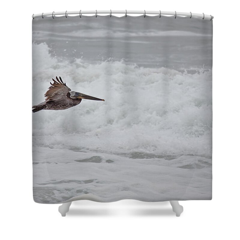 Pelican Shower Curtain featuring the photograph flying Pelican #2 by Ralf Kaiser