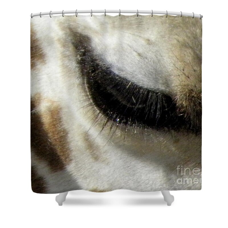 Giraffe Shower Curtain featuring the photograph Giraffe Eye #1 by Kim Galluzzo