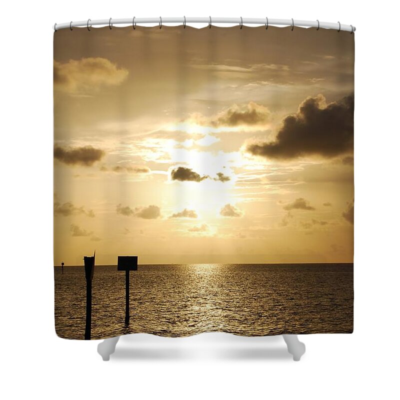 Sunset Shower Curtain featuring the photograph Golden Sunset #1 by Judy Hall-Folde