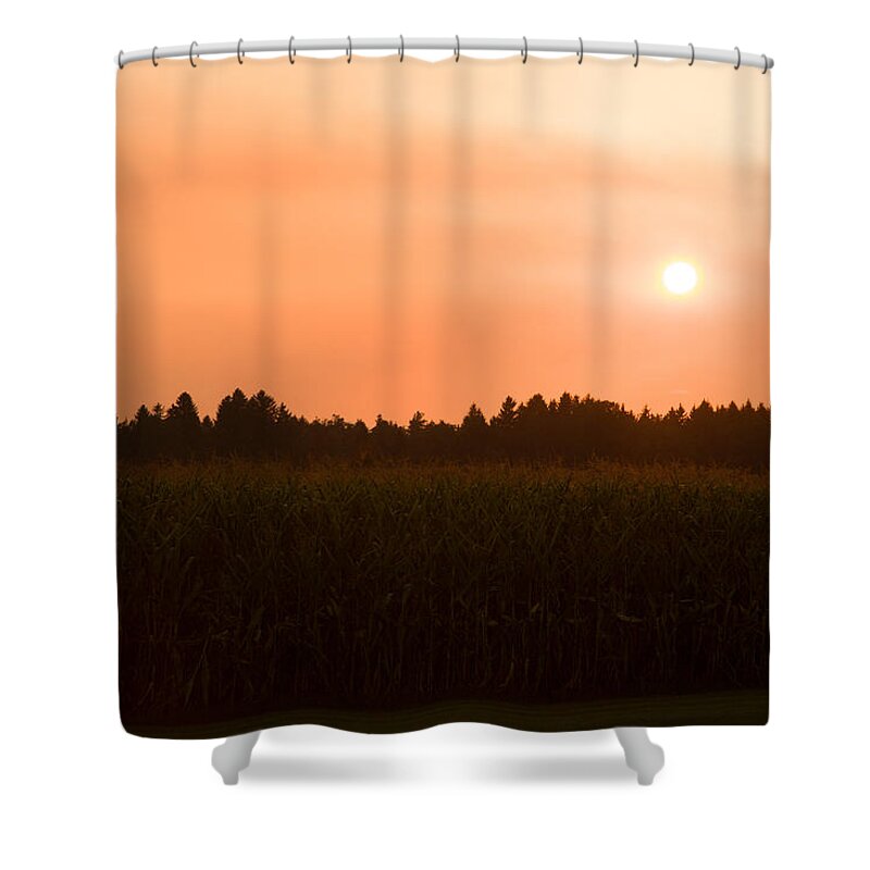 Sunset Shower Curtain featuring the photograph Hazy summer sunset #1 by Ian Middleton
