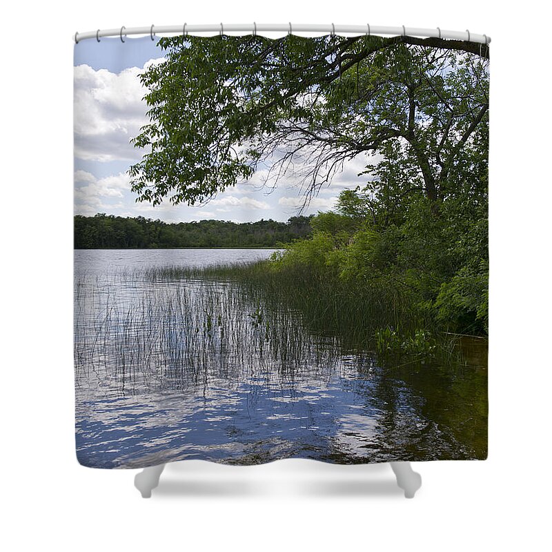 Borden Lake Shower Curtain featuring the photograph Lake shore #2 by Gary Eason