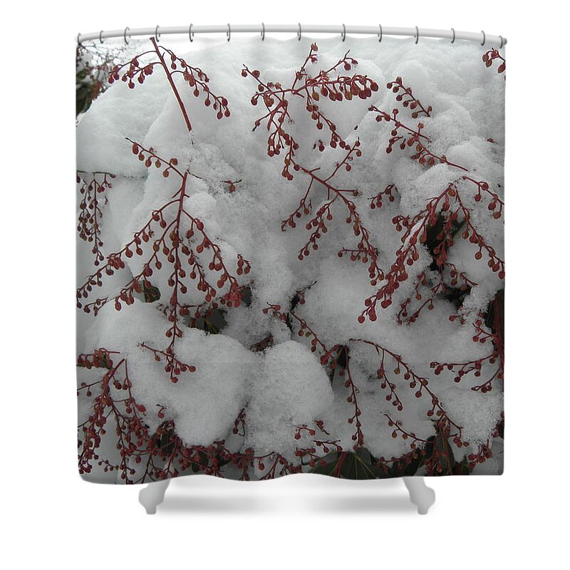 Snow Shower Curtain featuring the photograph Snow Covered #1 by Kim Galluzzo