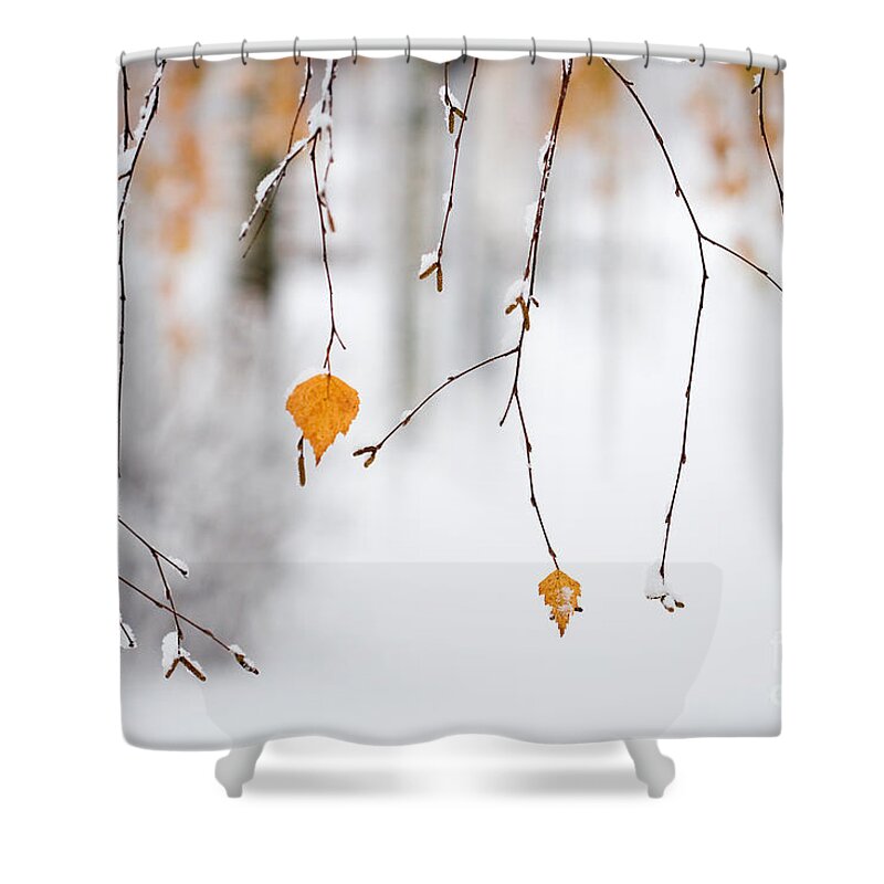 Autumn Shower Curtain featuring the photograph Snowing in autumn #1 by Kati Finell