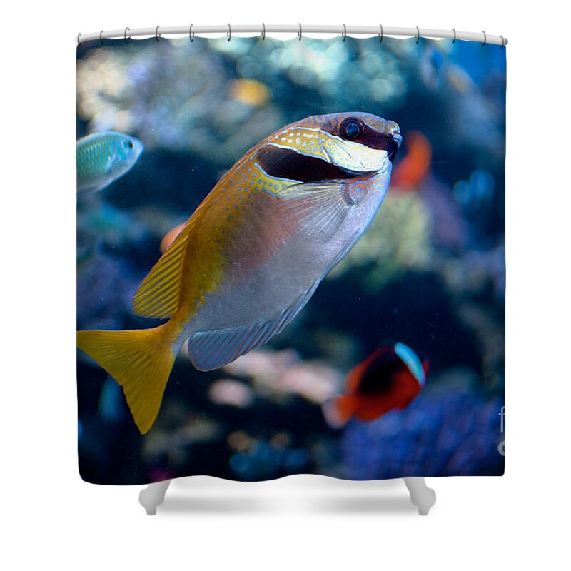 Aquarium Shower Curtain featuring the digital art Tropical Fish #1 by Carol Ailles