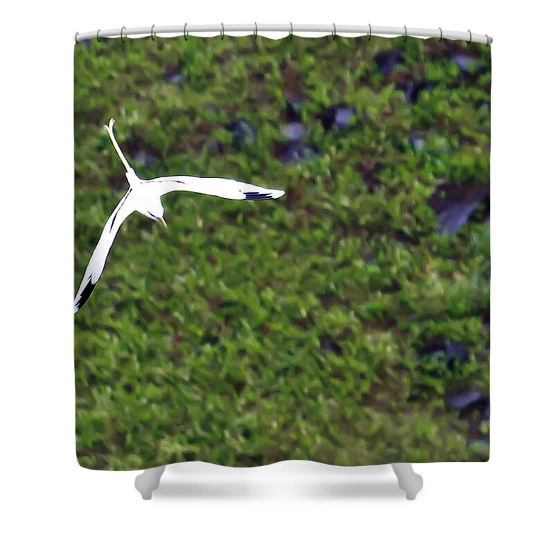 America Shower Curtain featuring the photograph White-tailed Tropicbird #1 by Artistic Photos