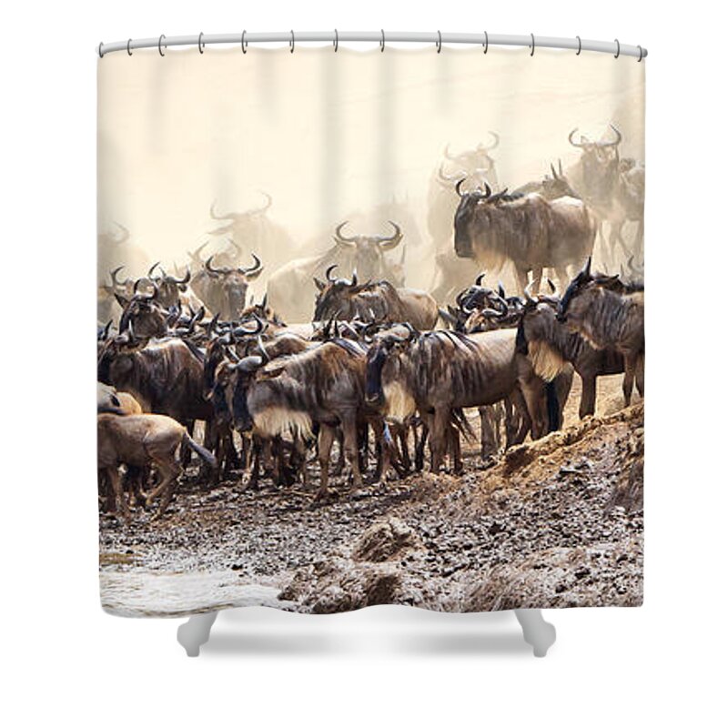 Wildebeest Shower Curtain featuring the photograph Wildebeest before the Crossing #2 by Perla Copernik