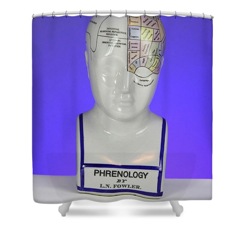Brain Shower Curtain featuring the photograph Phrenological Model #11 by Photo Researchers, Inc.
