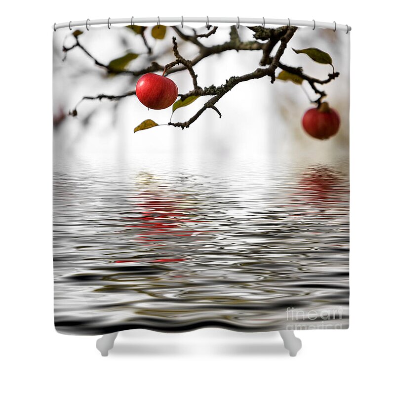 Agriculture Shower Curtain featuring the photograph Apple tree #2 by Kati Finell