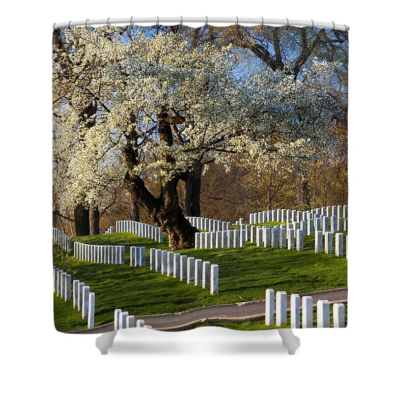 Blossoms Shower Curtain featuring the photograph Arlington National Cemetary #2 by Brian Jannsen
