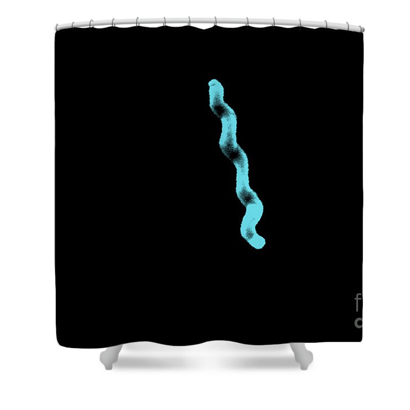 All Use Shower Curtain featuring the photograph Campylobacter Jejuni #2 by Science Source