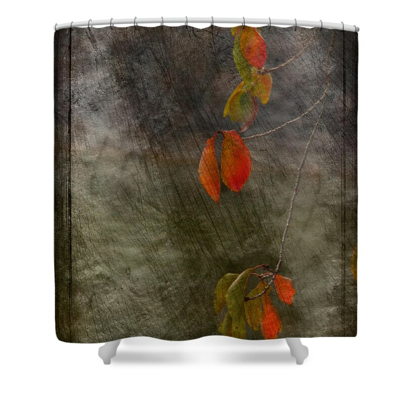 Autumn Shower Curtain featuring the photograph Colours of Autumn #2 by Eena Bo