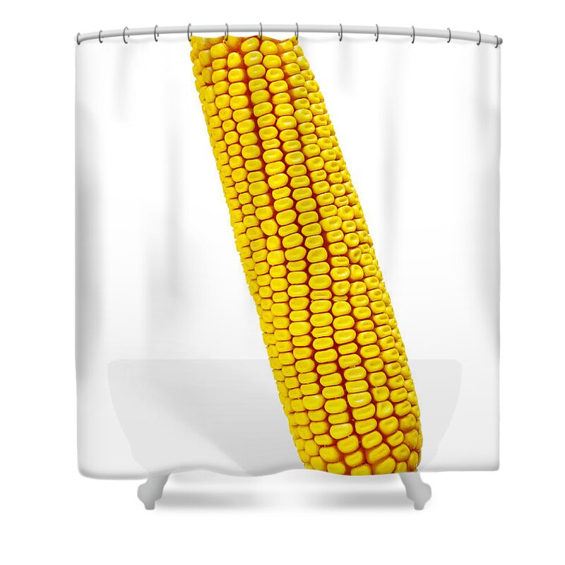 Agriculture Shower Curtain featuring the photograph Corn Cob #2 by Carlos Caetano
