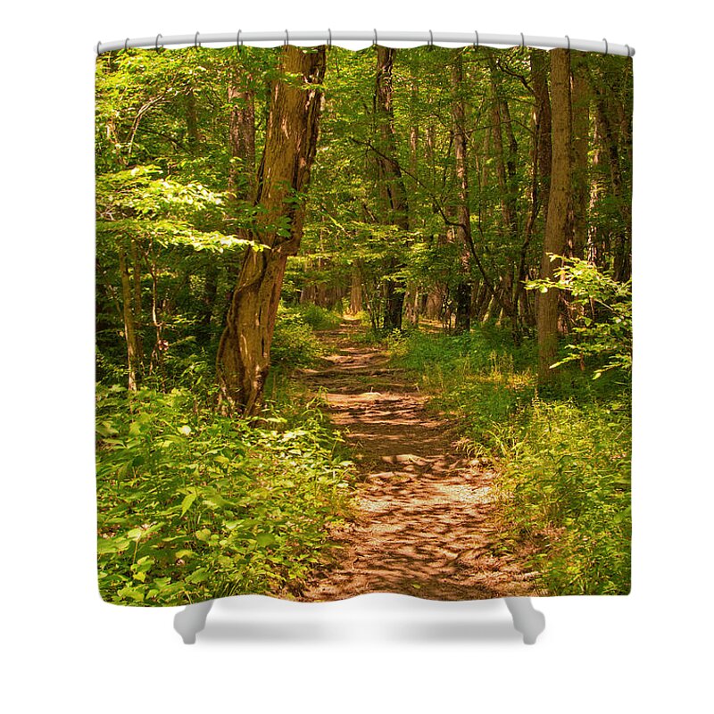 Trail Shower Curtain featuring the photograph Forest Trail #2 by Bob and Nancy Kendrick