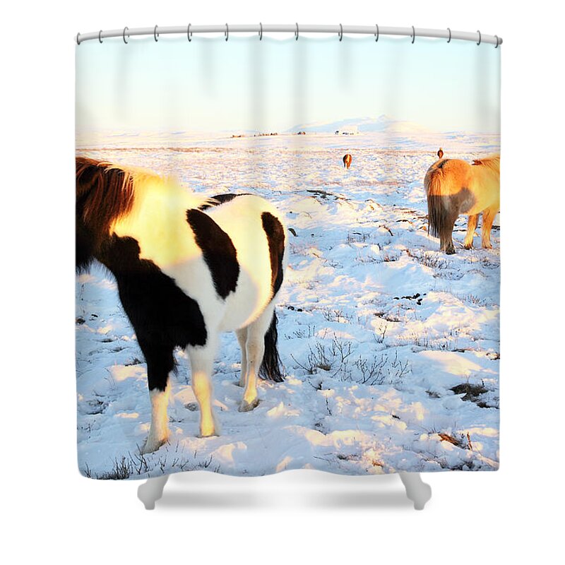 Iceland Shower Curtain featuring the photograph Iceland #2 by Milena Boeva