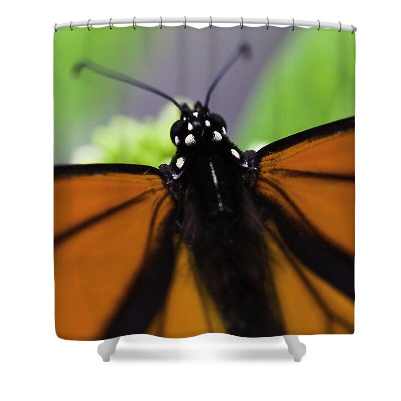 Monarch Shower Curtain featuring the photograph Monarch #2 by Perla Copernik