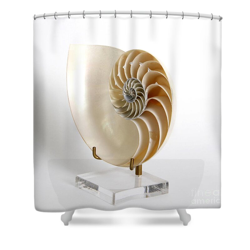Nature Shower Curtain featuring the photograph Nautilus #2 by Photo Researchers, Inc.