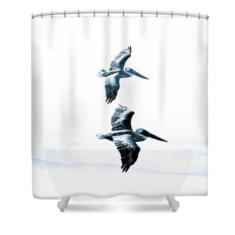 Pelican Shower Curtain featuring the photograph 2 Pelicans by Liz Vernand