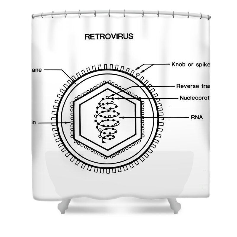 Science Shower Curtain featuring the photograph Retrovirus #2 by Science Source