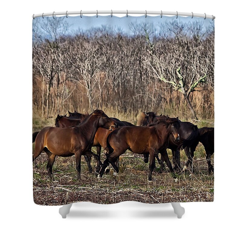 Equine Shower Curtain featuring the photograph Wild Horses #2 by Farol Tomson
