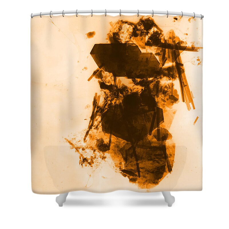 Asbestos Shower Curtain featuring the photograph Asbestos Fibers #3 by Omikron