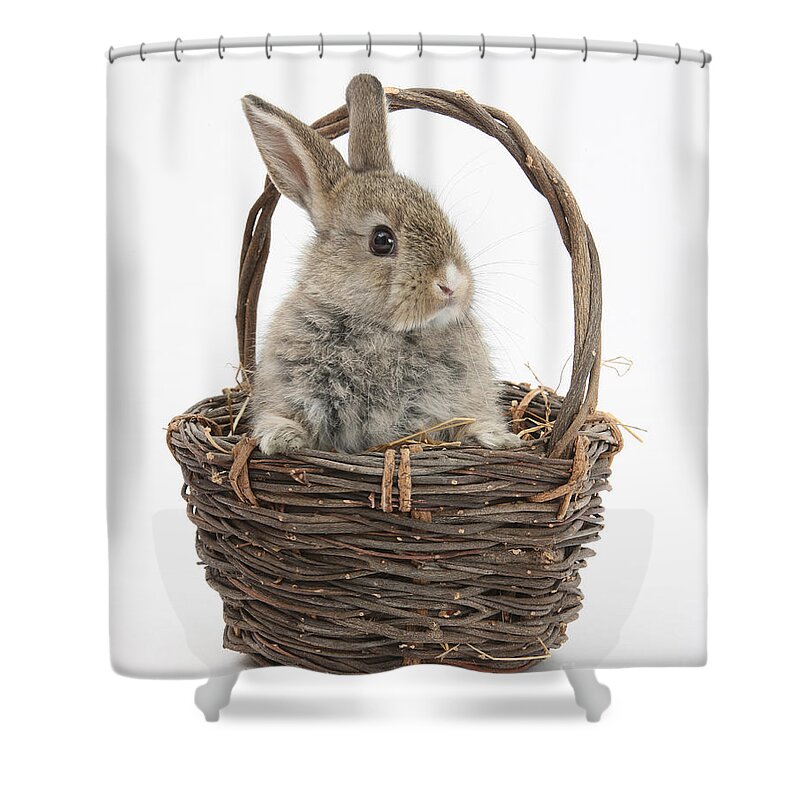 Animal Shower Curtain featuring the photograph Bunny In A Basket #3 by Mark Taylor
