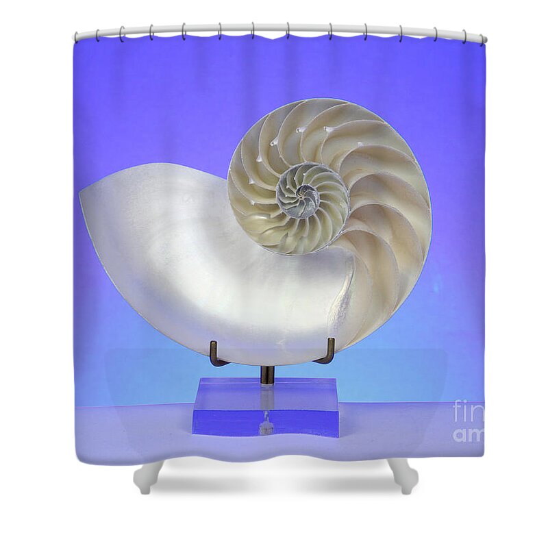 Animal Shower Curtain featuring the photograph Logarithmic Spiral #3 by Photo Researchers, Inc.