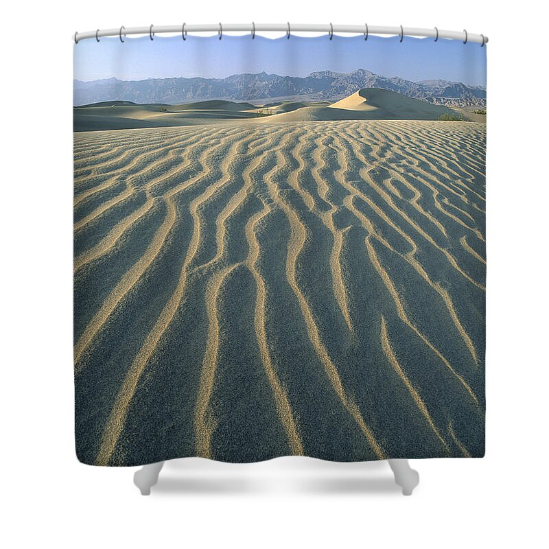 00174938 Shower Curtain featuring the photograph Mesquite Flat Sand Dunes Death Valley #3 by Tim Fitzharris
