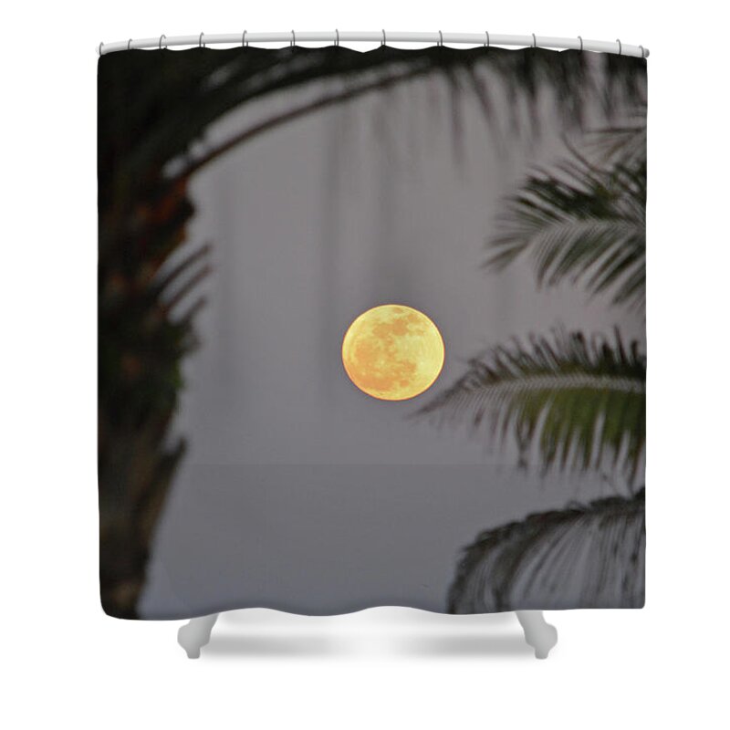 Full Moon Shower Curtain featuring the photograph 5- Tropical Moon by Joseph Keane