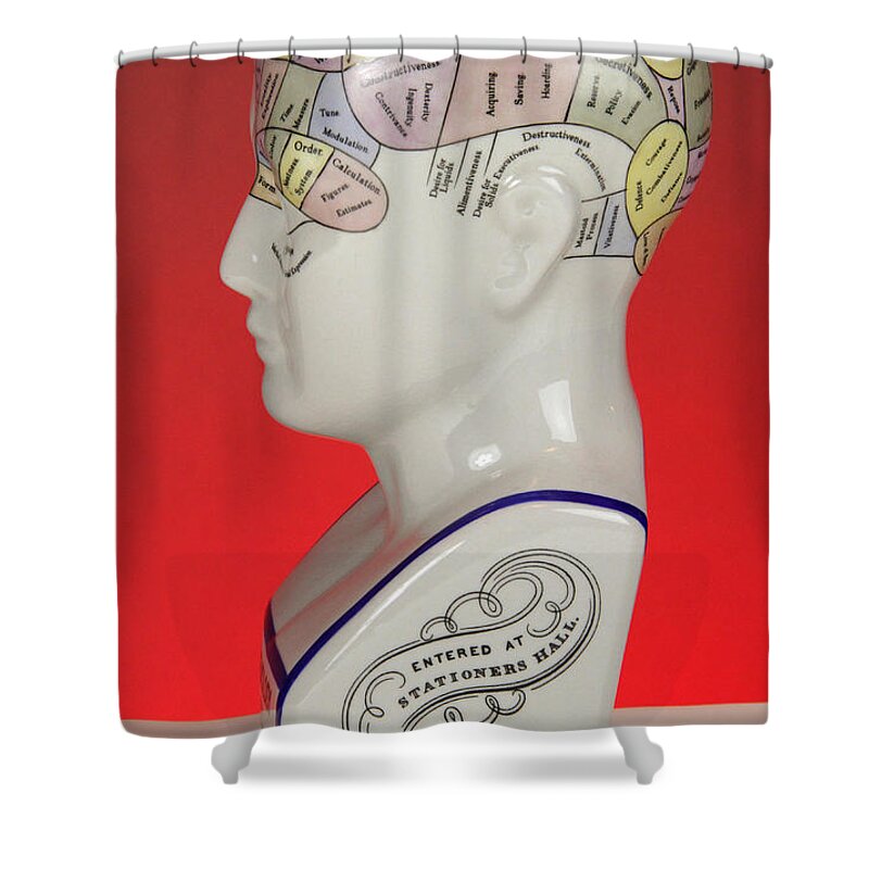 Brain Shower Curtain featuring the photograph Phrenological Model #6 by Photo Researchers, Inc.