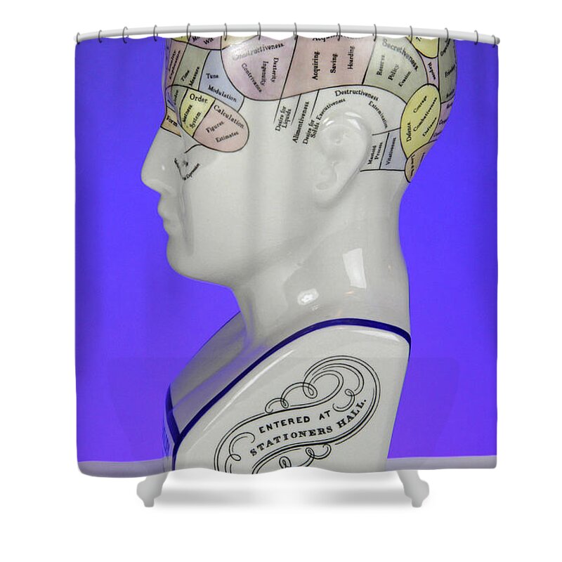 Brain Shower Curtain featuring the photograph Phrenological Model #7 by Photo Researchers, Inc.